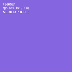 #8665E1 - Medium Purple Color Image